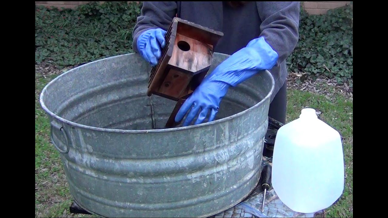 Cleaning and Preparing Your Bird Houses for Spring