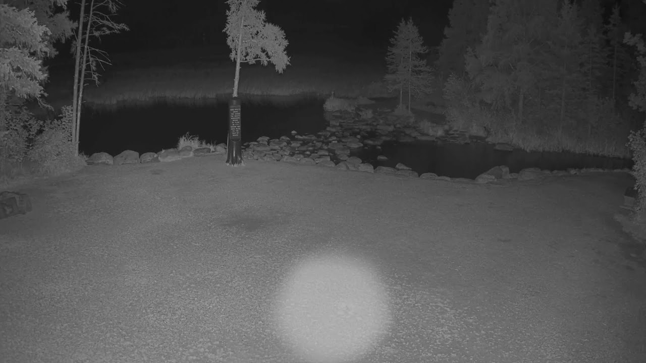 Itasca State Park - Mississippi River Headwaters