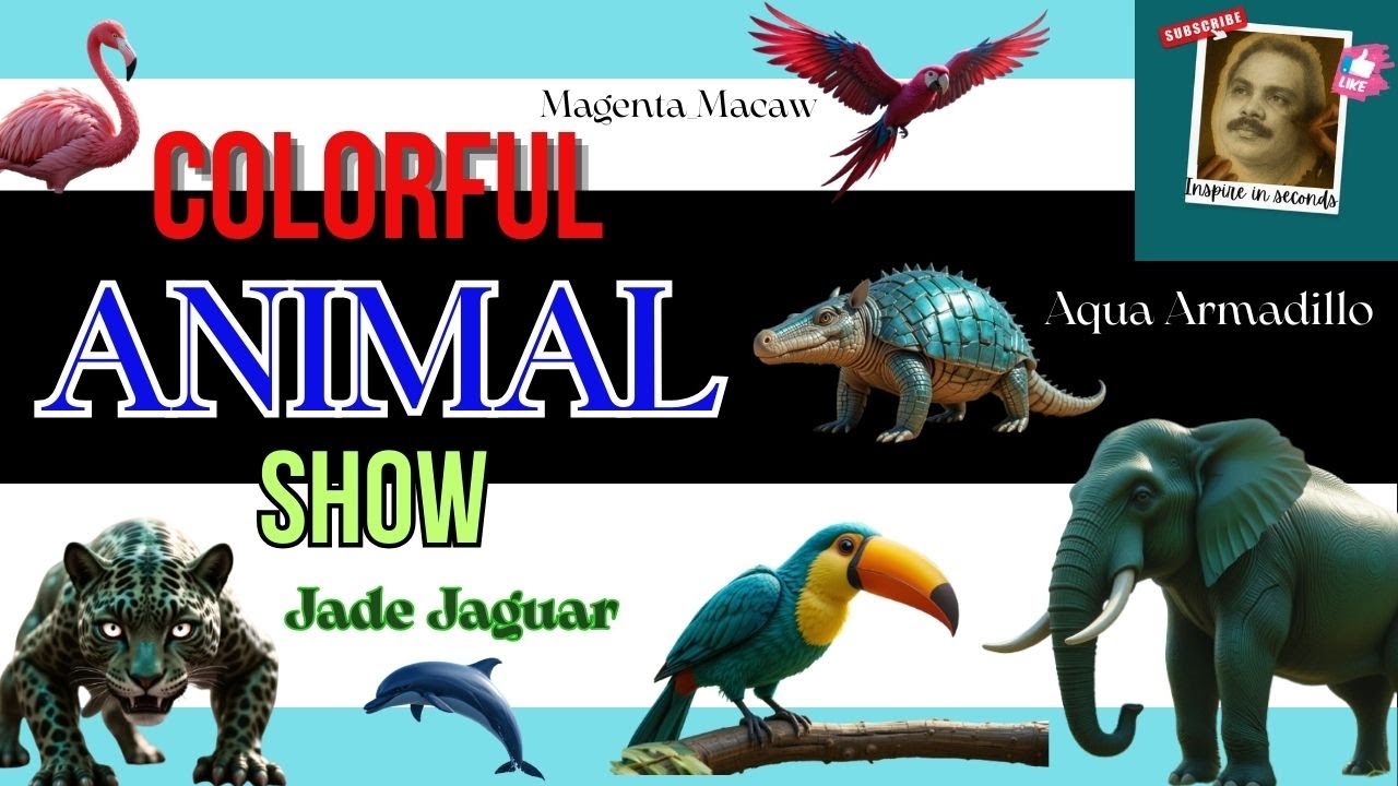 COLORFUL ANIMAL SHOW