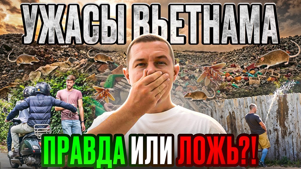 Это стоить знать перед поездкой во Вьетнам! Нячанг: преступность, мусор, крысы, дожди подделки