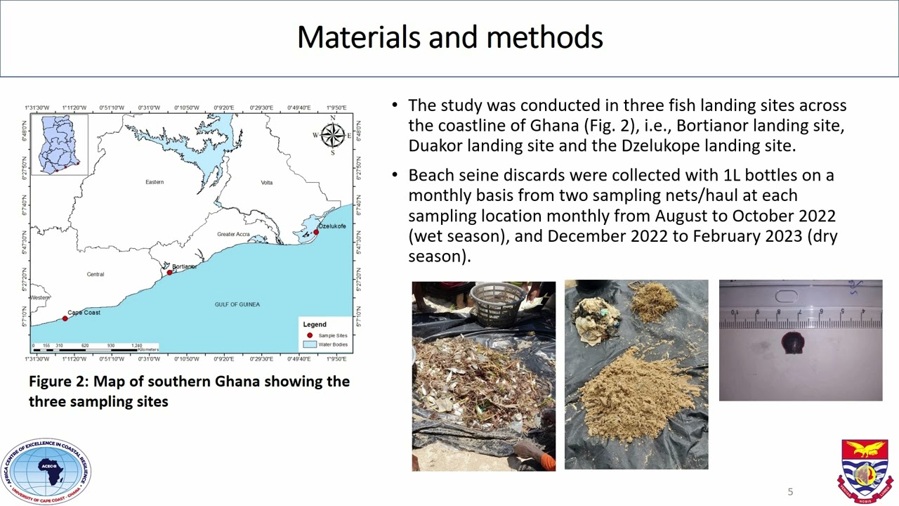 Beach seine juvenile bycatch along the coast of Ghana - Margaret Akwetey