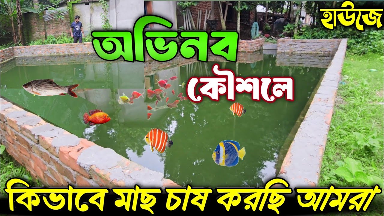 বায়োফ্লক পদ্ধতিতে অভিনব কৌশলে ছোট হাউজে কিভাবে মাছ চাষ করছি আমরা?😳 #মাছচাষ  @AgroknowledgeBD