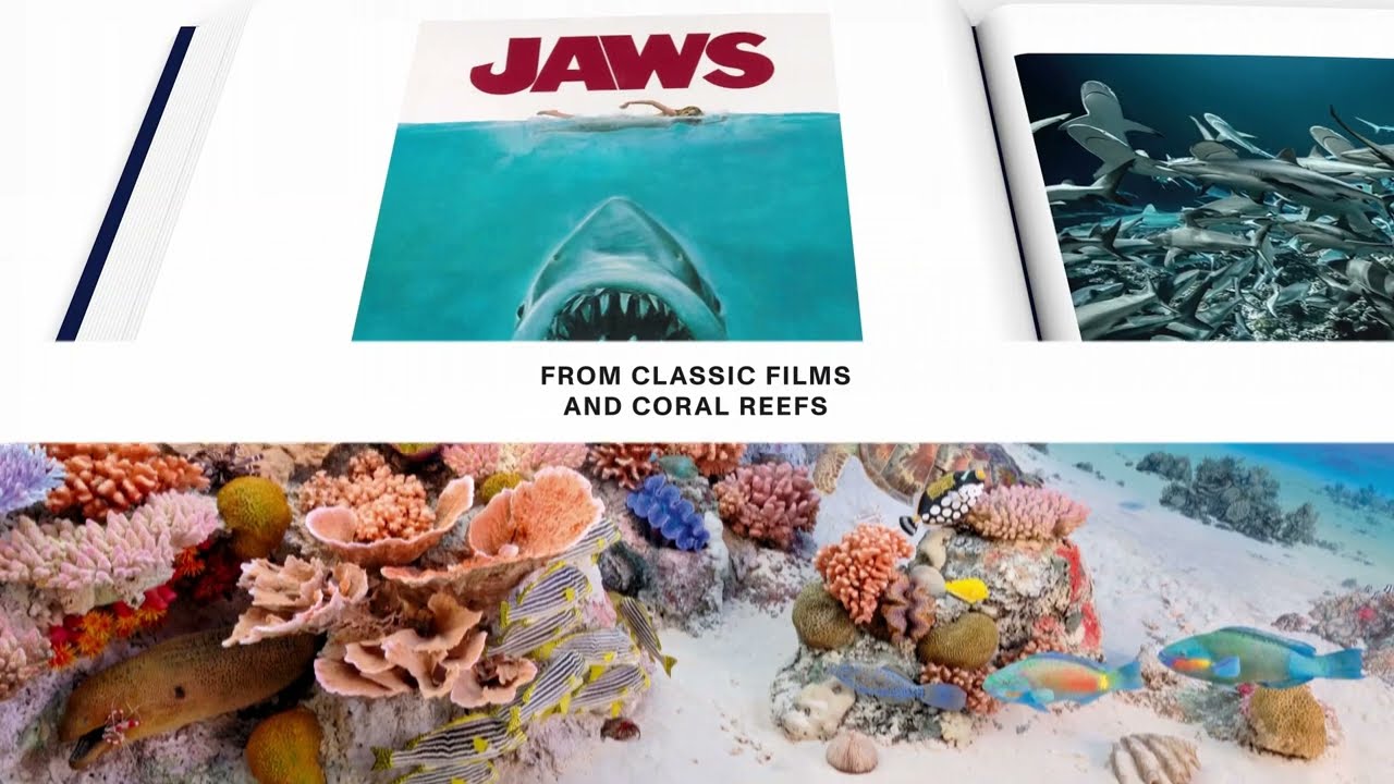 Ocean: Exploring the Marine World