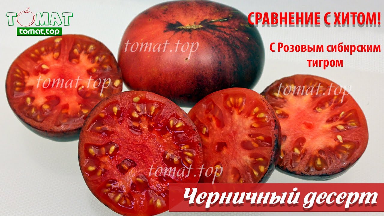 Томат Черничный десерт. Что с ним не так? Что общего с Розовым Сибирским тигром? Сравнение сортов
