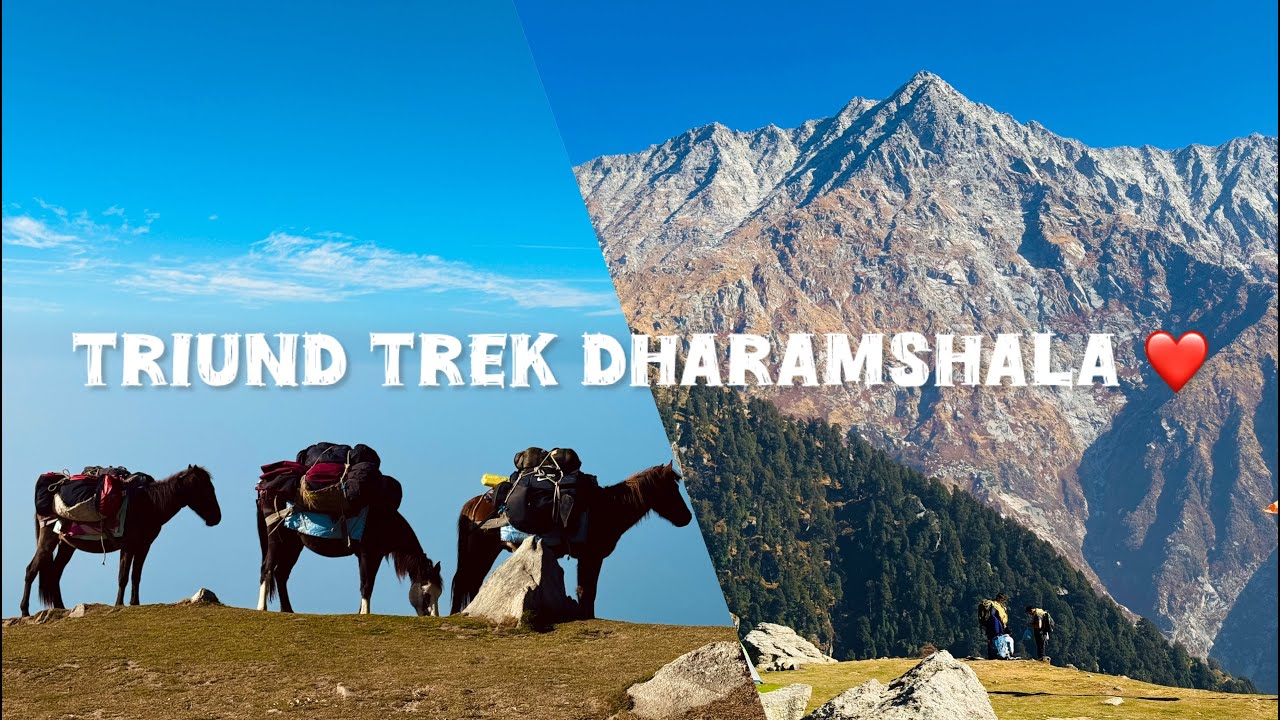 Triund one of the easiest Himalayan trek for beginners ❤️