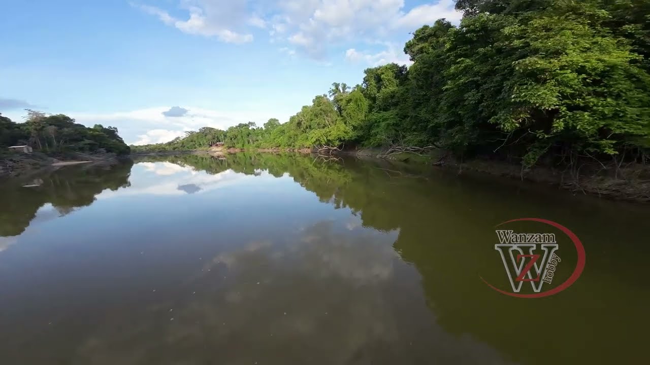 AMAZONIA lugar SELVAGEM