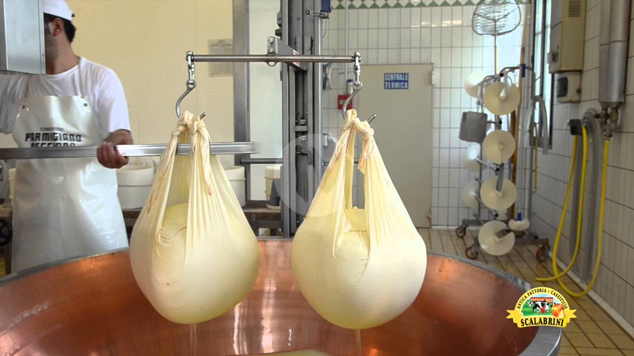 Filiera del Parmigiano Reggiano