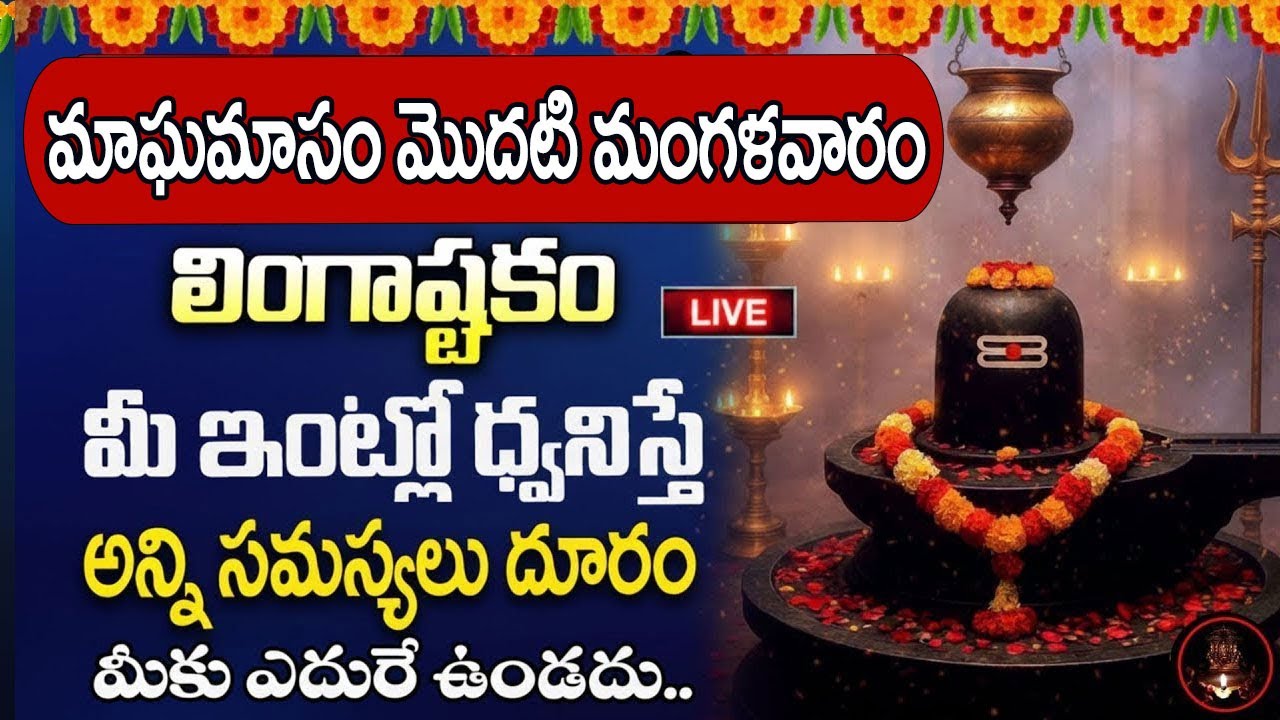 Live : మాఘమాసం + మంగళవారం పరమశివుడి నామాలు మీ ఇంట్లో ధ్వనిస్తే అష్టకష్టాలు తొలిగి @MK tv‬