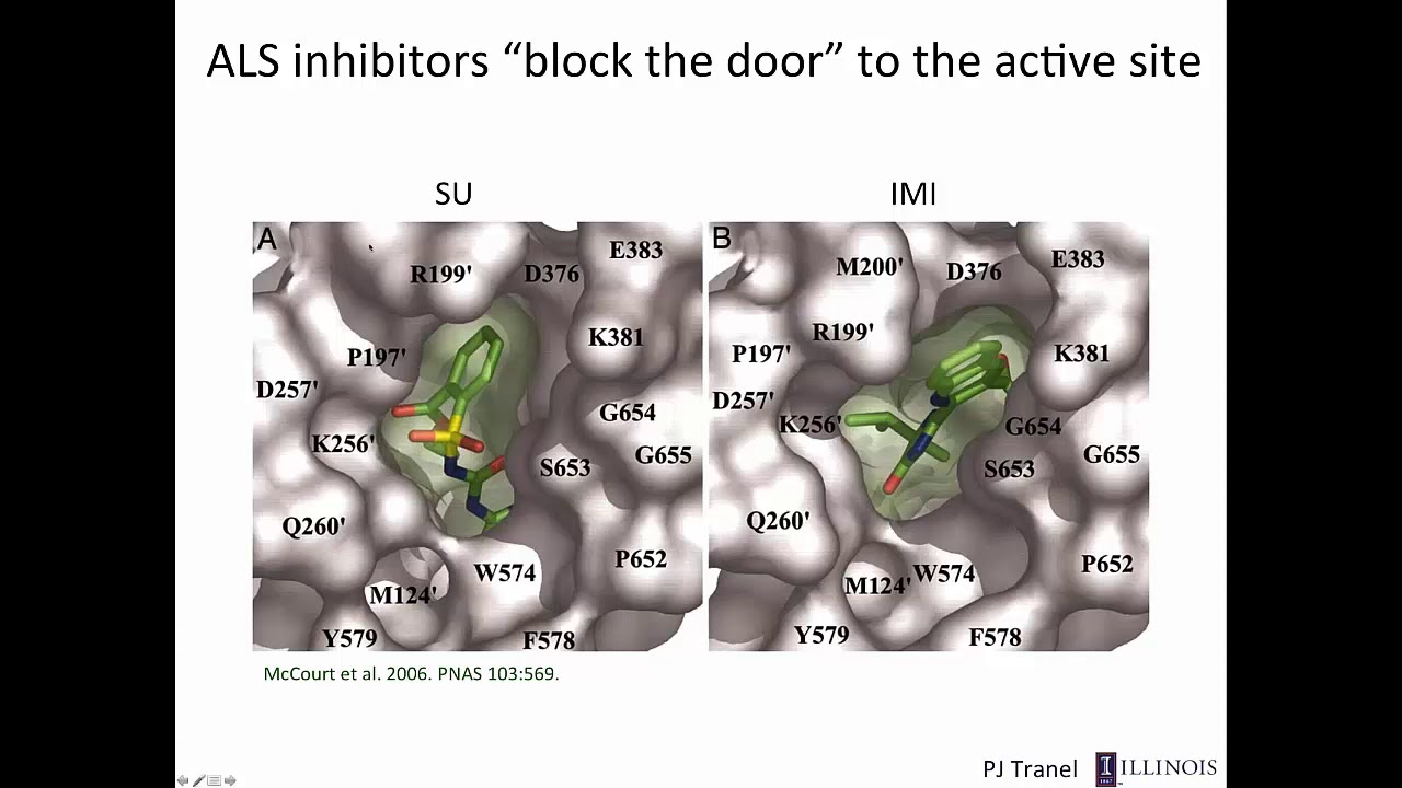 Herbicide-Resistant Weeds: Molecular Mechanisms and Impacts, Part 1: Introduction and Target-Site