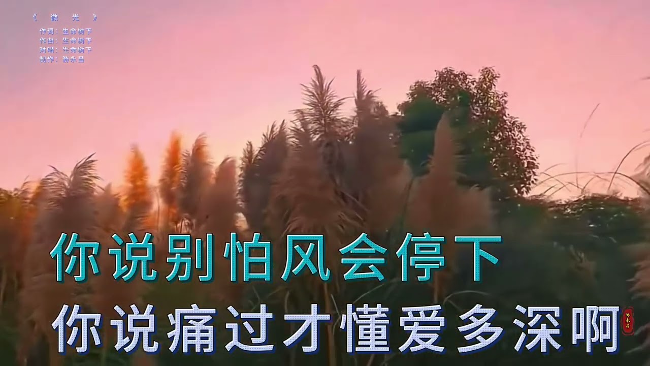 生 命 树 下  一 首 对 唱 《 微 光 》  分 享 给 大 家 ！