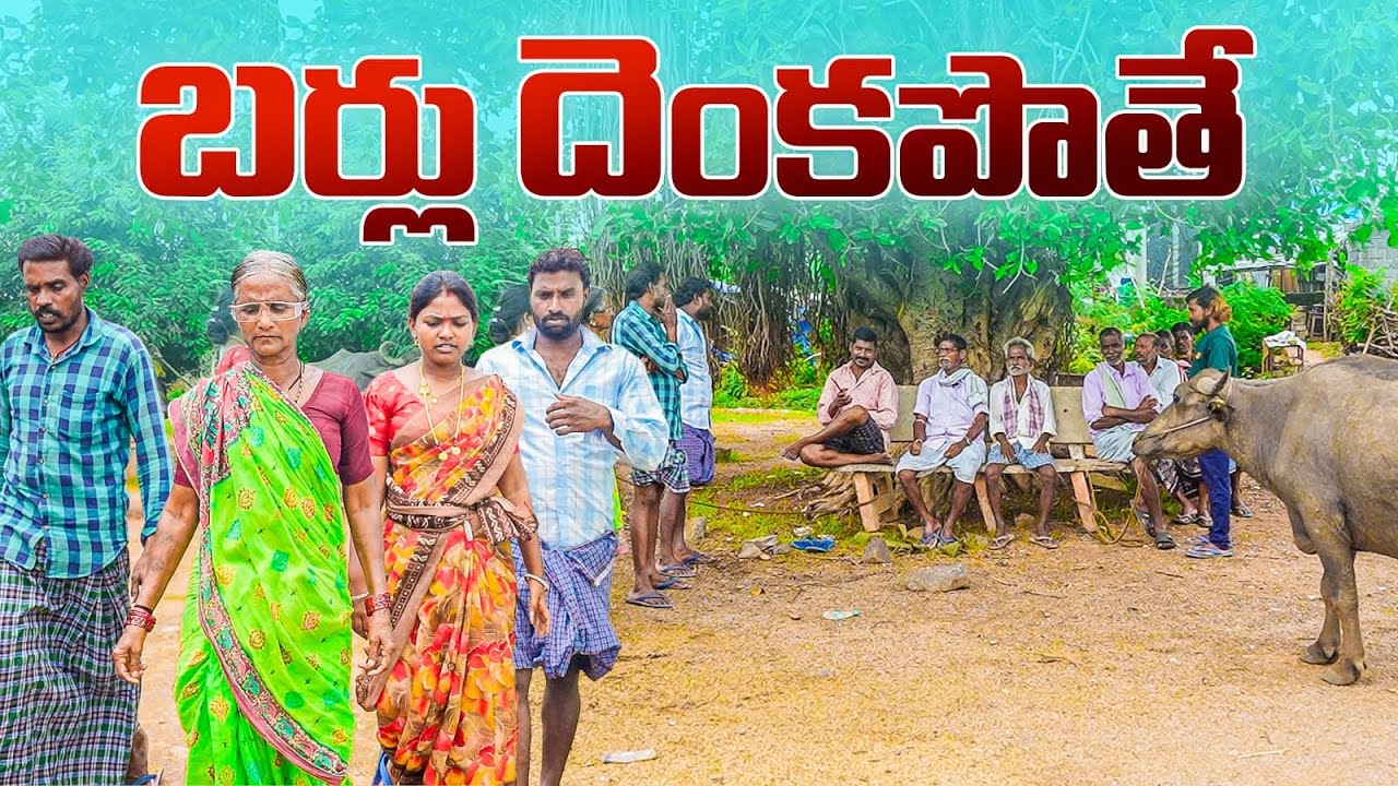 బర్లు దేంకపోతే||బర్ల పంచాయతీ||village panchayathi||my village comedy||dhoom dhaam channel