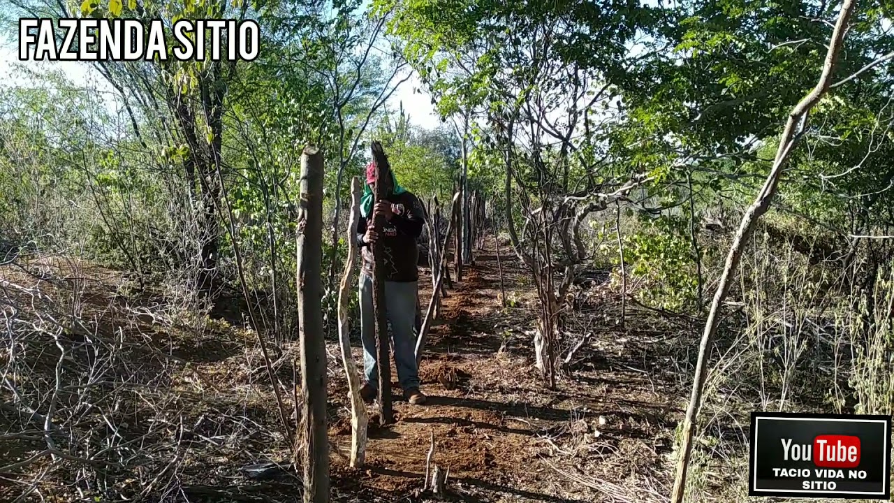 CAVANDO E BOTANDO AS ESTACA DA CERCA🌵🌵🌵🌵