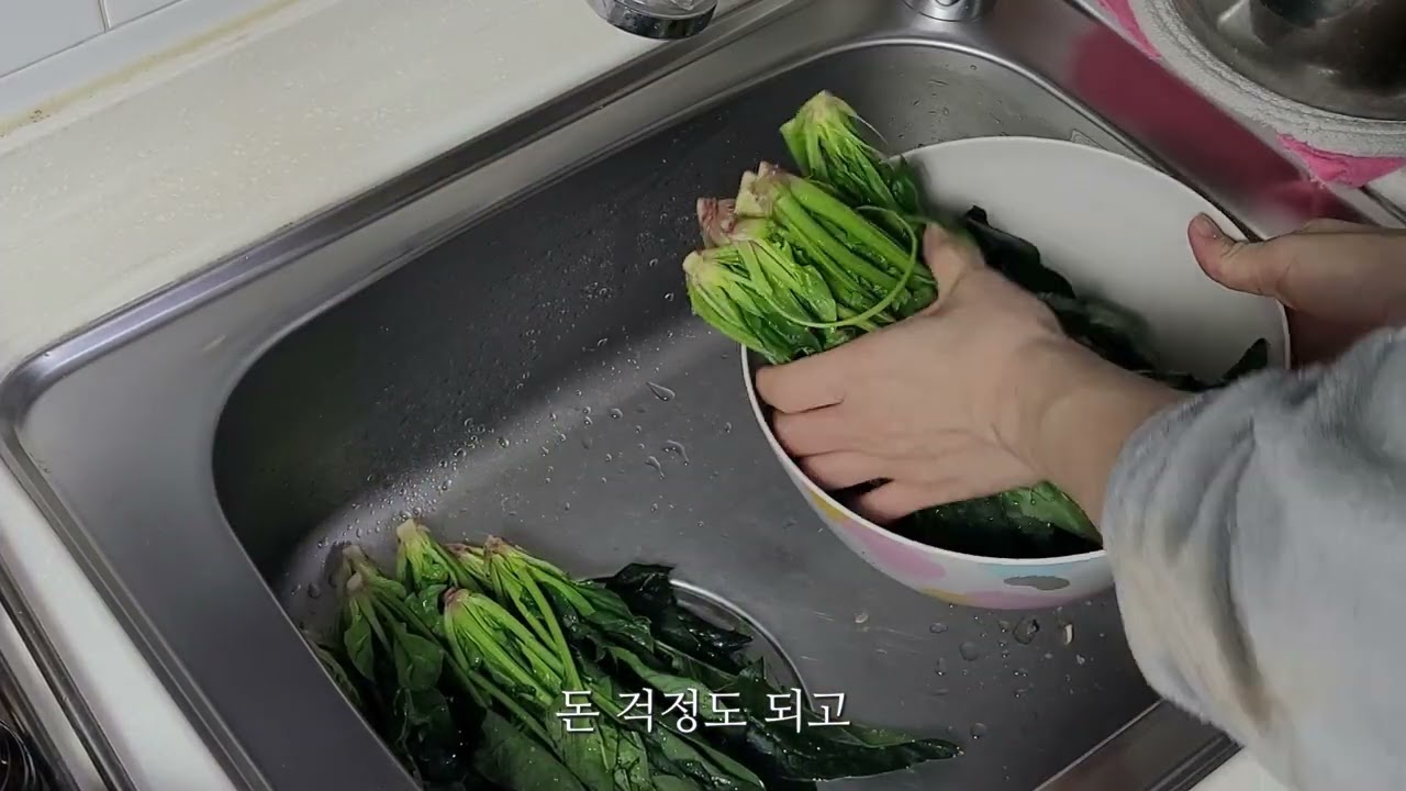 반찬 만들어 먹는 은둔 백수