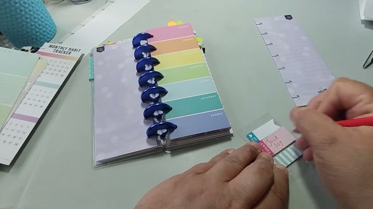 June 2024 Skinny Mini Happy Planner Set-Up & Flipthrough