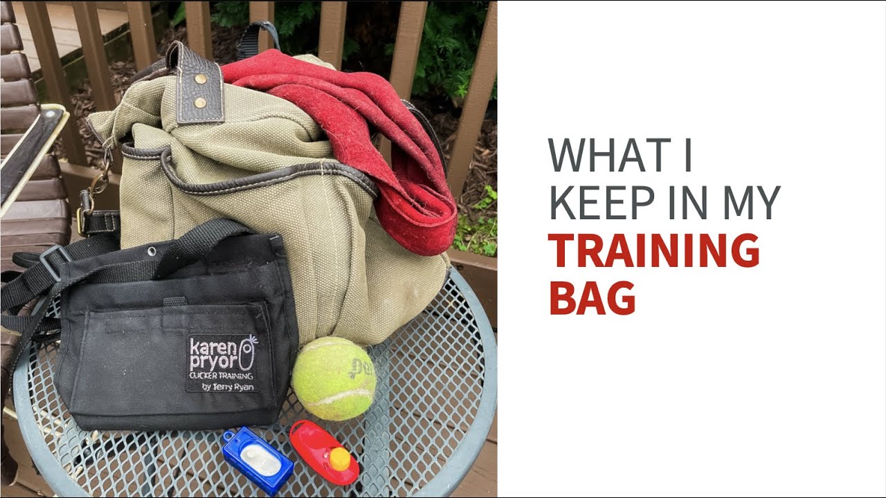 What I keep in my service dog's training bag