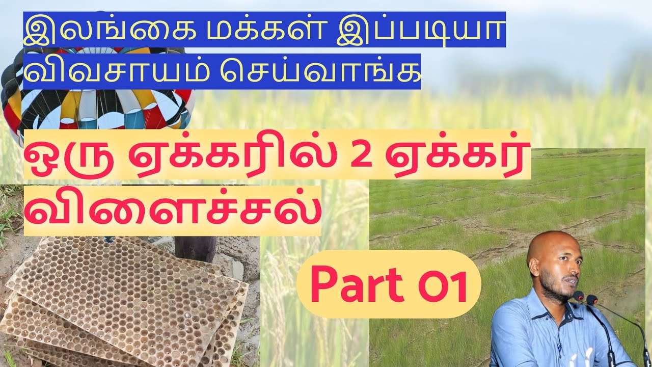 இஸ்ரேல் நாட்டுக்கு இனையாகும் ஈழம்  |  parachute transplanting