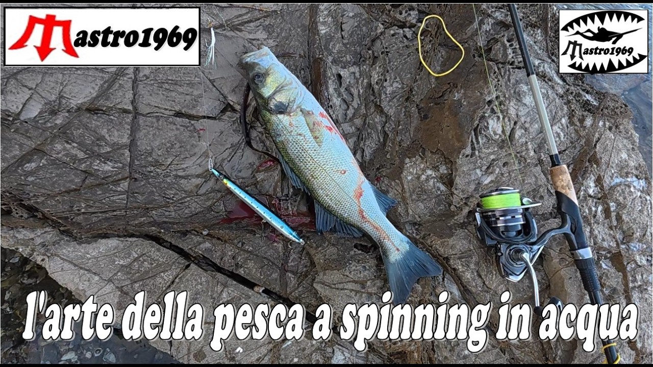 spinning mare muta occhiate spigole zuppa top water