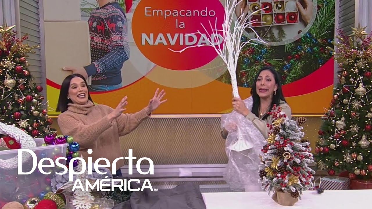 Empacando la Navidad: prácticos consejos para guardar y preservar tus adornos