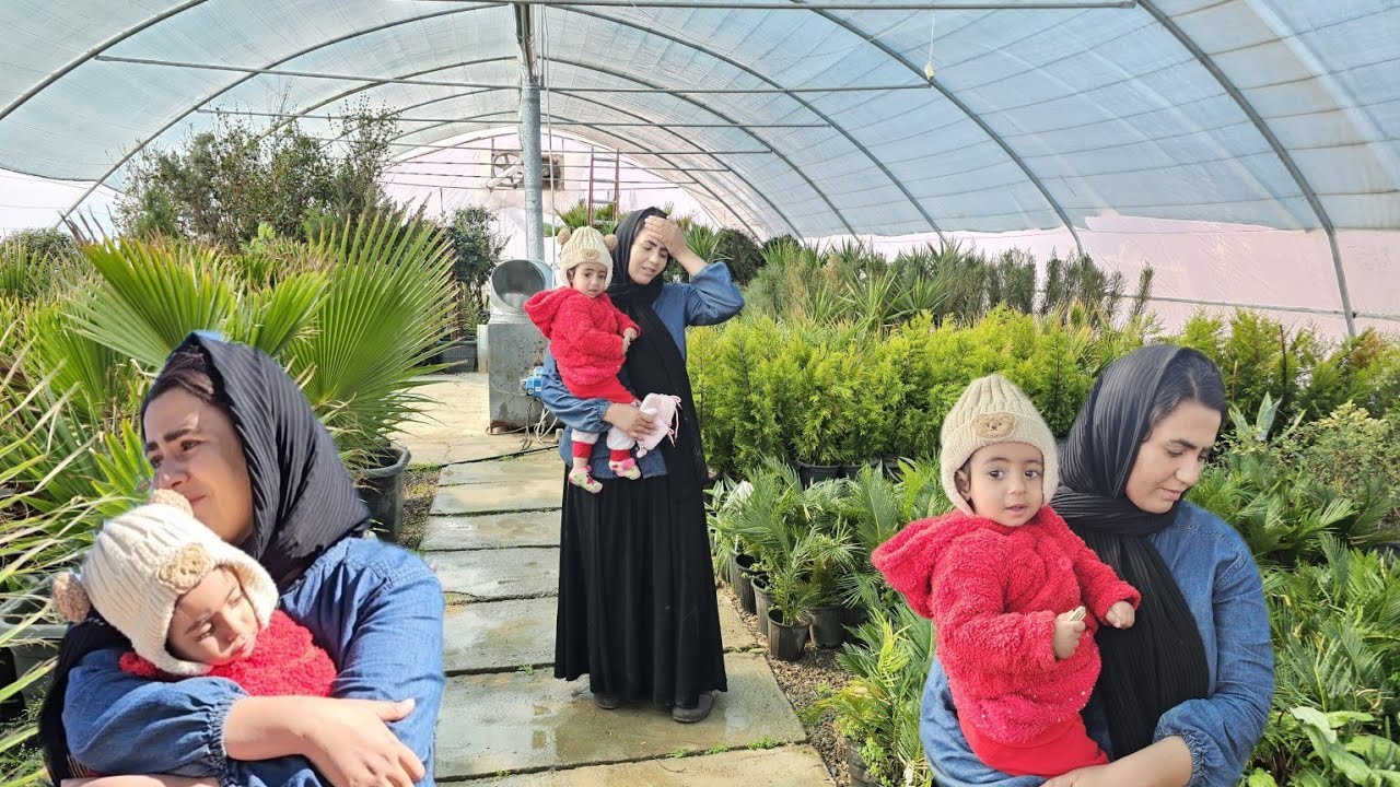 Journey to the colorful world of life in Gavbandi: Parisa's story and pure moments