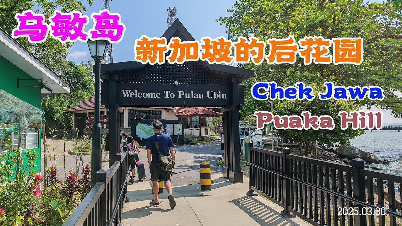 乌敏岛 - 新加坡最大的离岛 也是新加坡人的后花园  Pulau Ubin Adventure: Chek Jawa Wetlands & Puaka Hill Hike