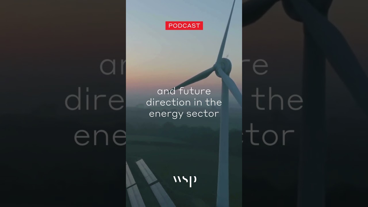 Decoding the UAE&rsquo;s Energy Roadmap to Carbon Neutrality