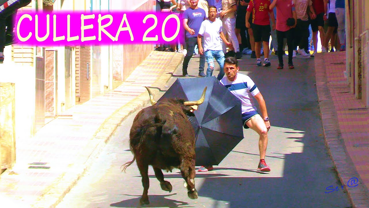 🟢2023 CULLERA 20 INTEGRO Ganadería Fdo. Machancoses