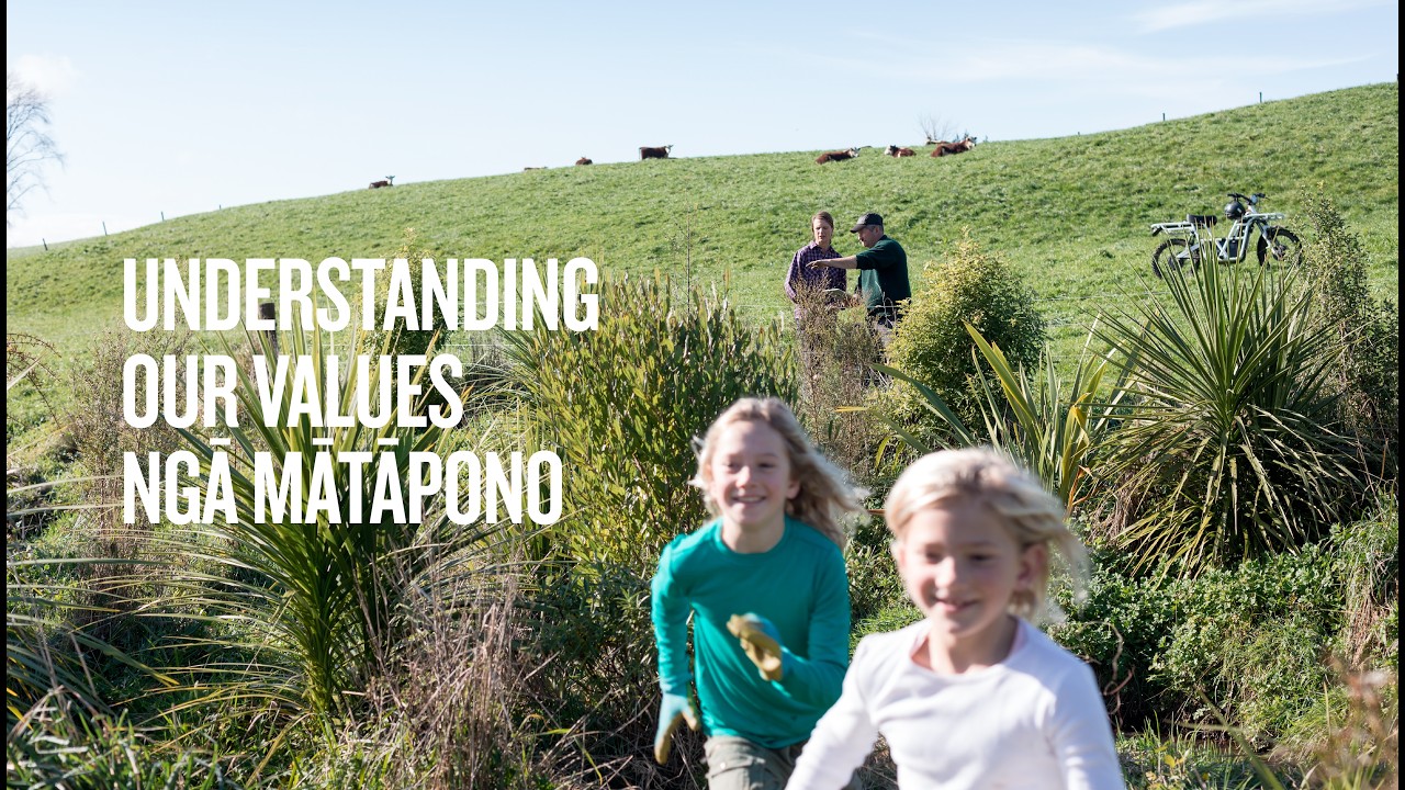 Understanding Our Country's Values