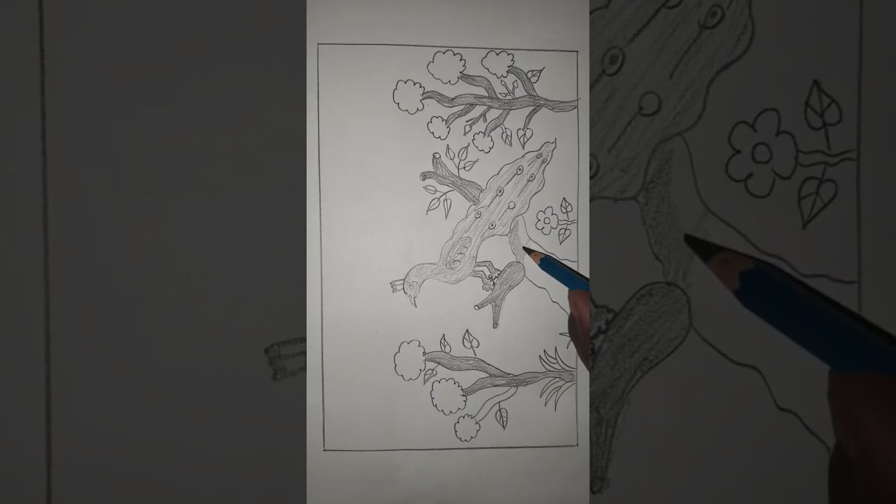 Ashok sketching tutorial drawing