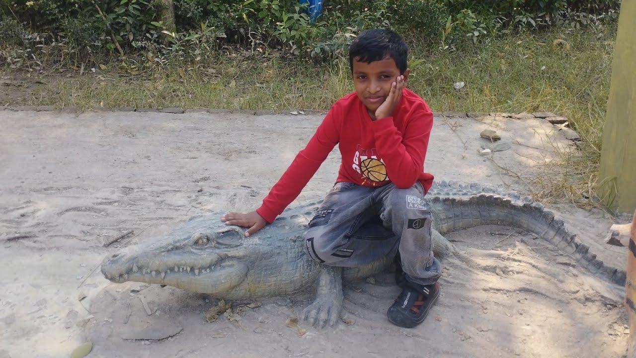 #সুন্দরবনের গল্প M V THE EXPLORER #🚢#TRAVEL VLOG #🥝#FOOD