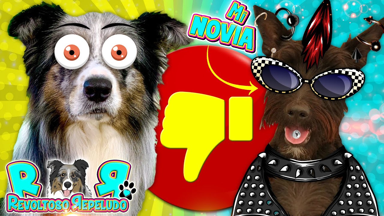 5 Cosas que ODIO de mi NOVIA de Las Aventuras de Lana 😾 Revoltoso Repeludo 😻 TAG del NOVIO