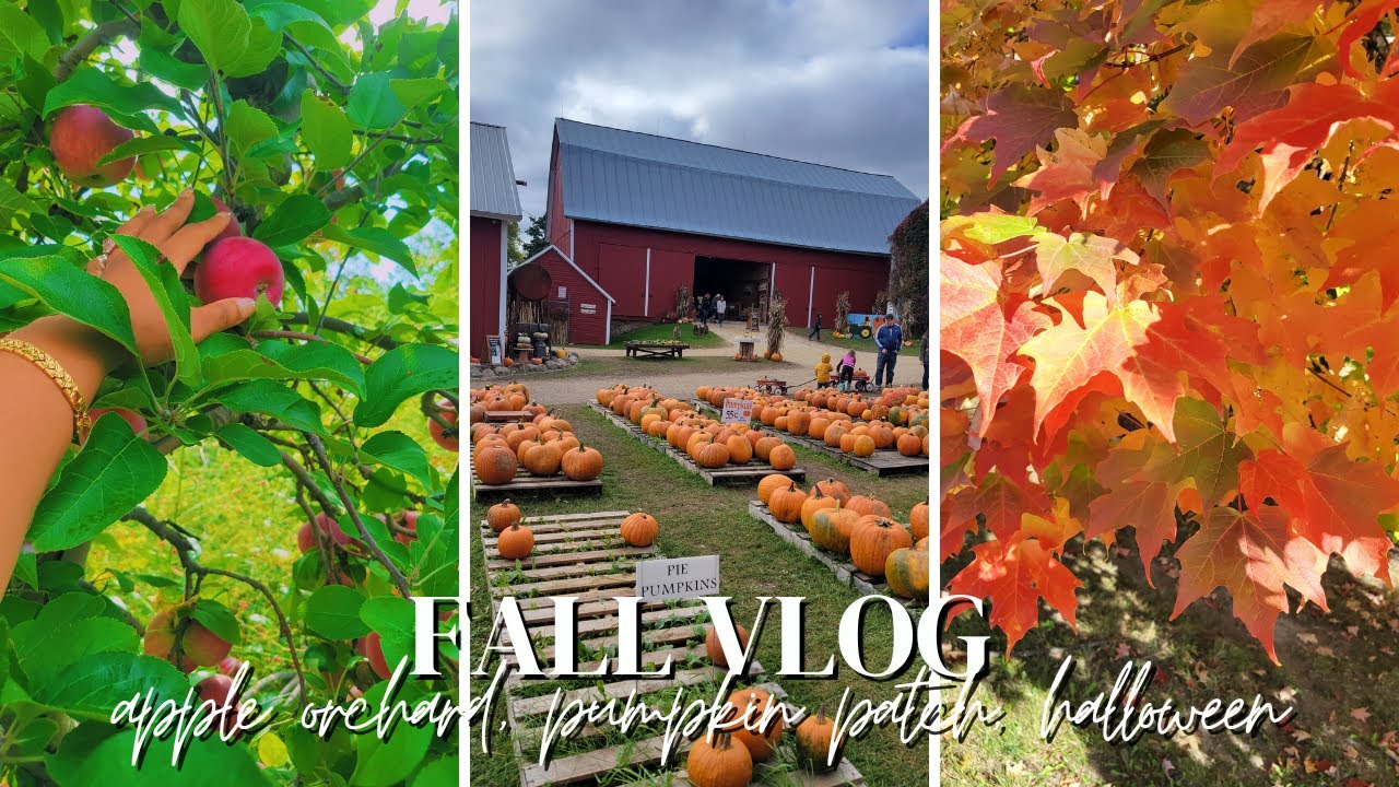 Fall Vlog | Apple Orchard, Pumpkin Patch, Halloween