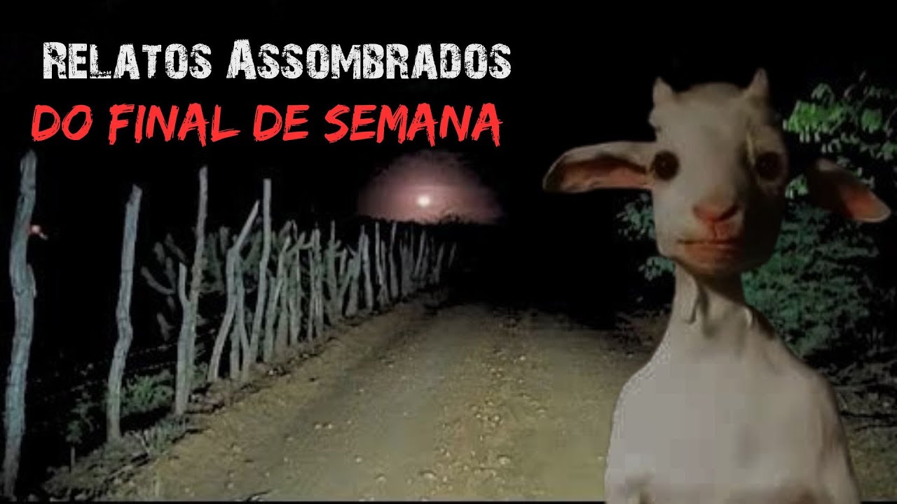 Relatos Assombrados do Final de Semana (833)
