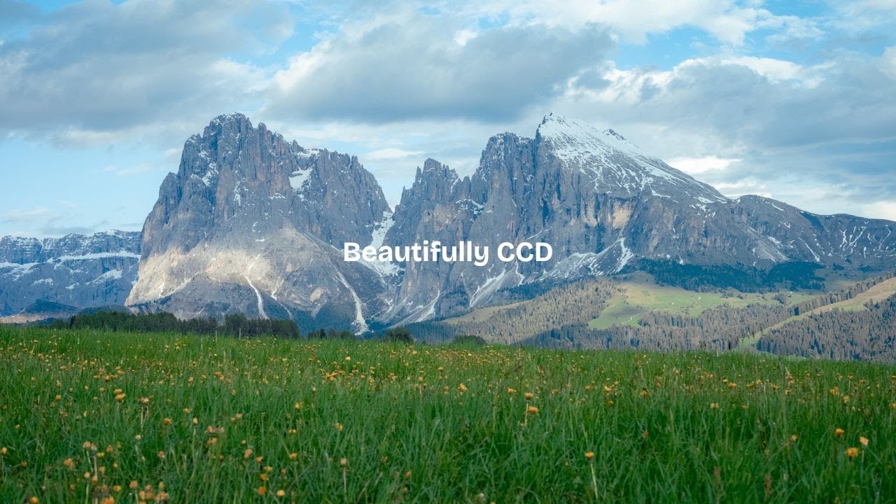 If you think the Leica M8 & M9 has beautiful colors…