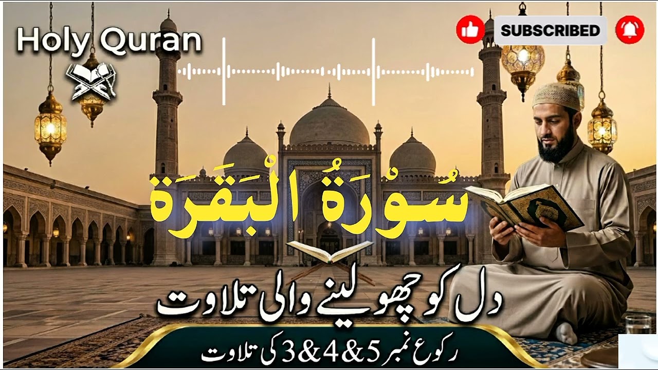 Surah Al-Baqarah Ruku 3, 4 & 5 |Beautiful Quran Recitation|Holy Quran#SurahAlBaqarah#quranrecitation