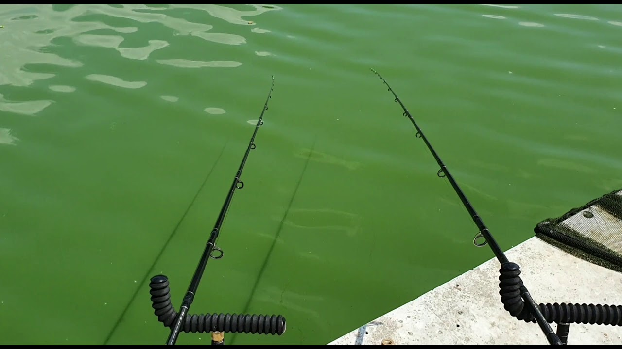 Feeder kap&aacute;s 2