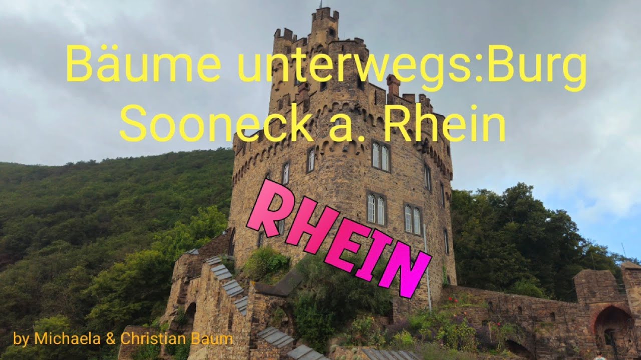 Burgbesichtigung Burg Sooneck a. Rhein