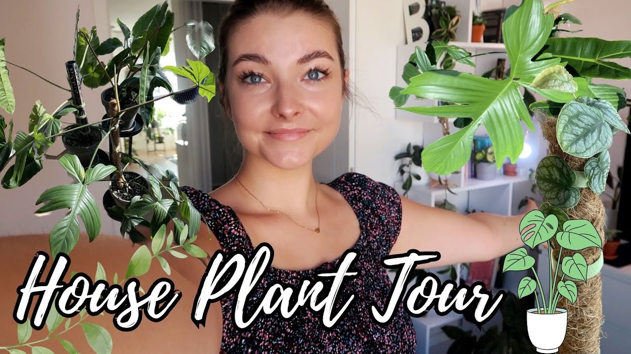 🌿HOUSE PLANT TOUR🌿| wszystkie rośliny w mieszkaniu