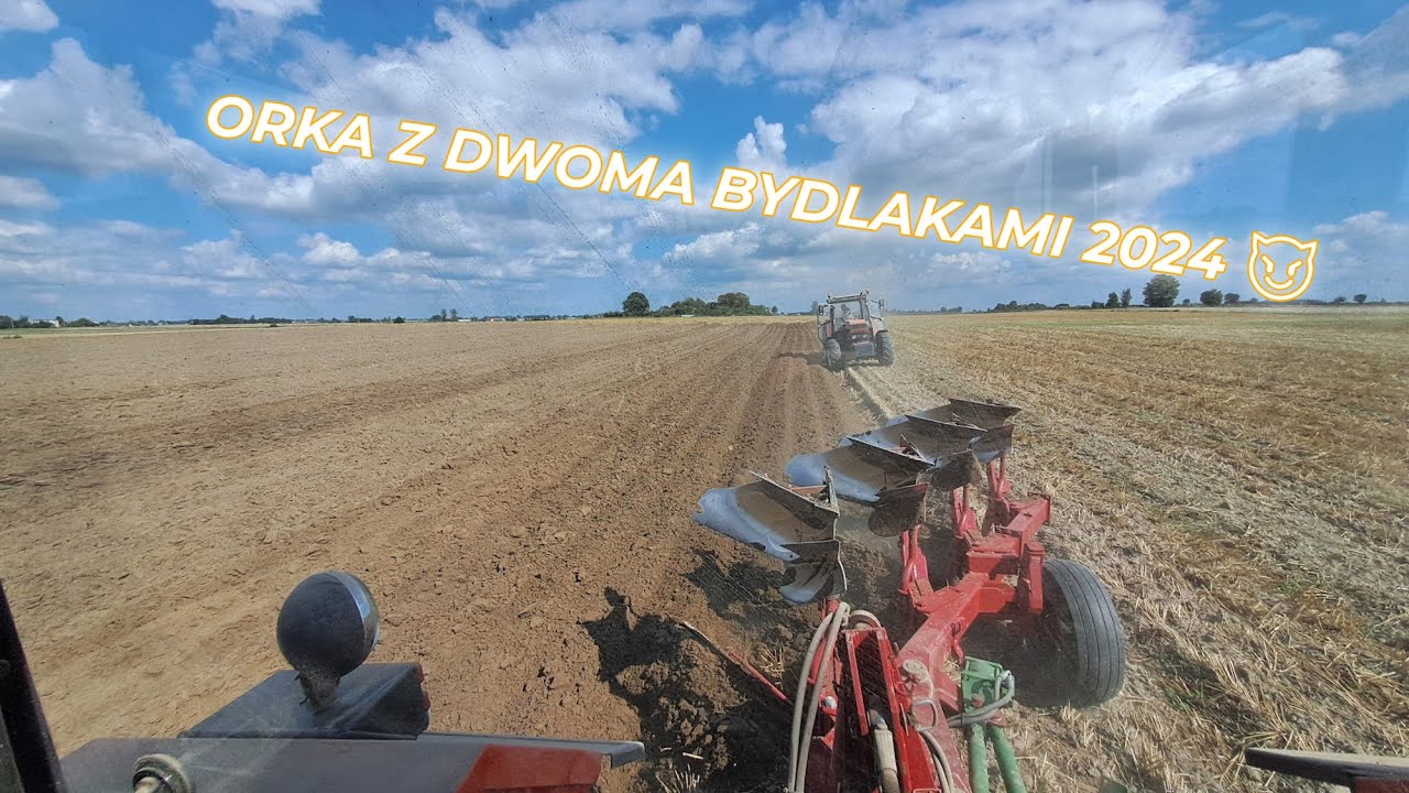 Szybka Akcja 😮 Czyli Orka na 8 skib 😱 Ursus & Zetor 😈 Hp Osale