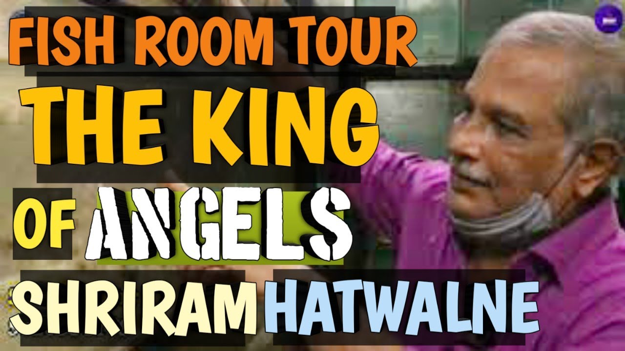 Exclusive Hatchery Tour | India's Best Angels | Legend Shriram Hatwalne Sir | King of the Angels