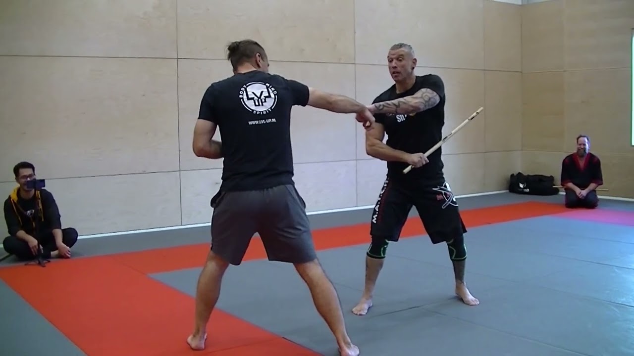 Filipino Martial Arts - eskrima - kali - arnis techniques