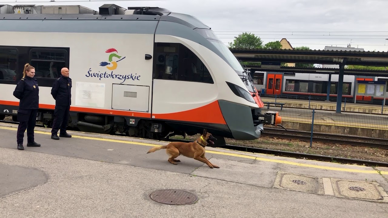 #GaszynChallenge Straż Ochrony Kolei w Kielcach