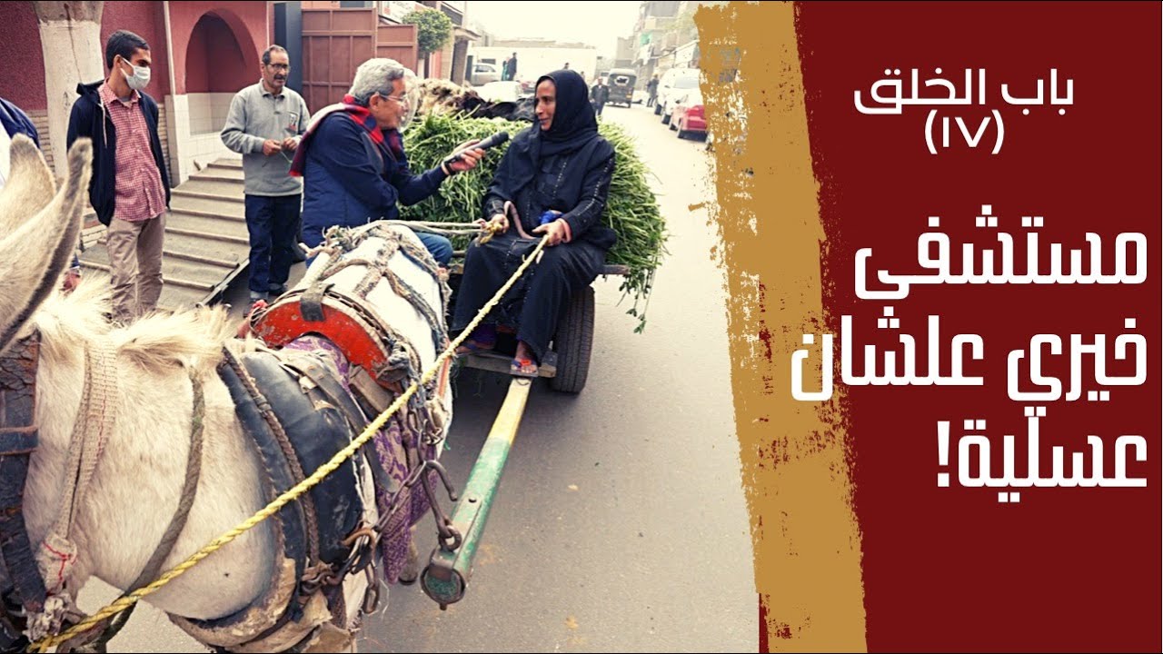باب الخلق ١٧| علشان عسلية.. مصر فيها مستشفى خيري للحمير من ١٠٠ سنة.. قصة مستشفى بروك