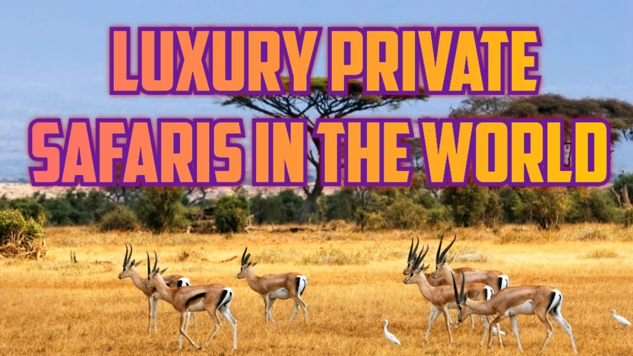 Luxury private safaries in africa