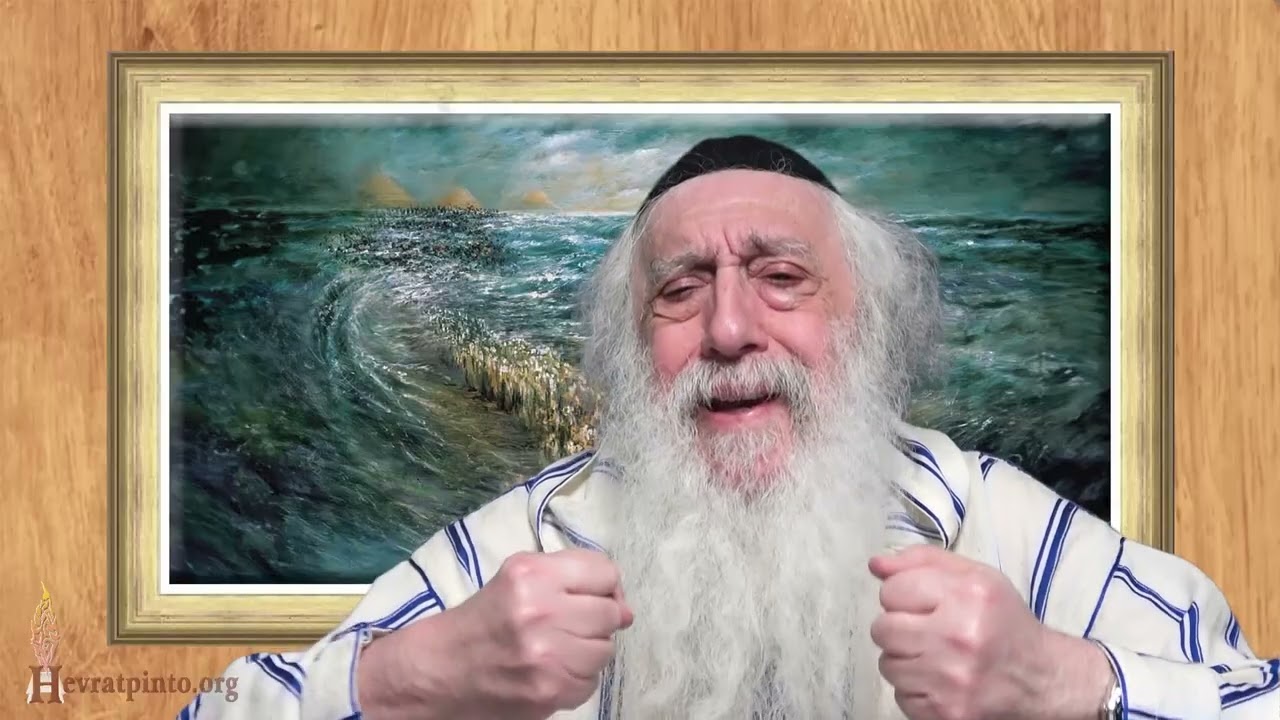 The Birth of Moshe Rabeinu