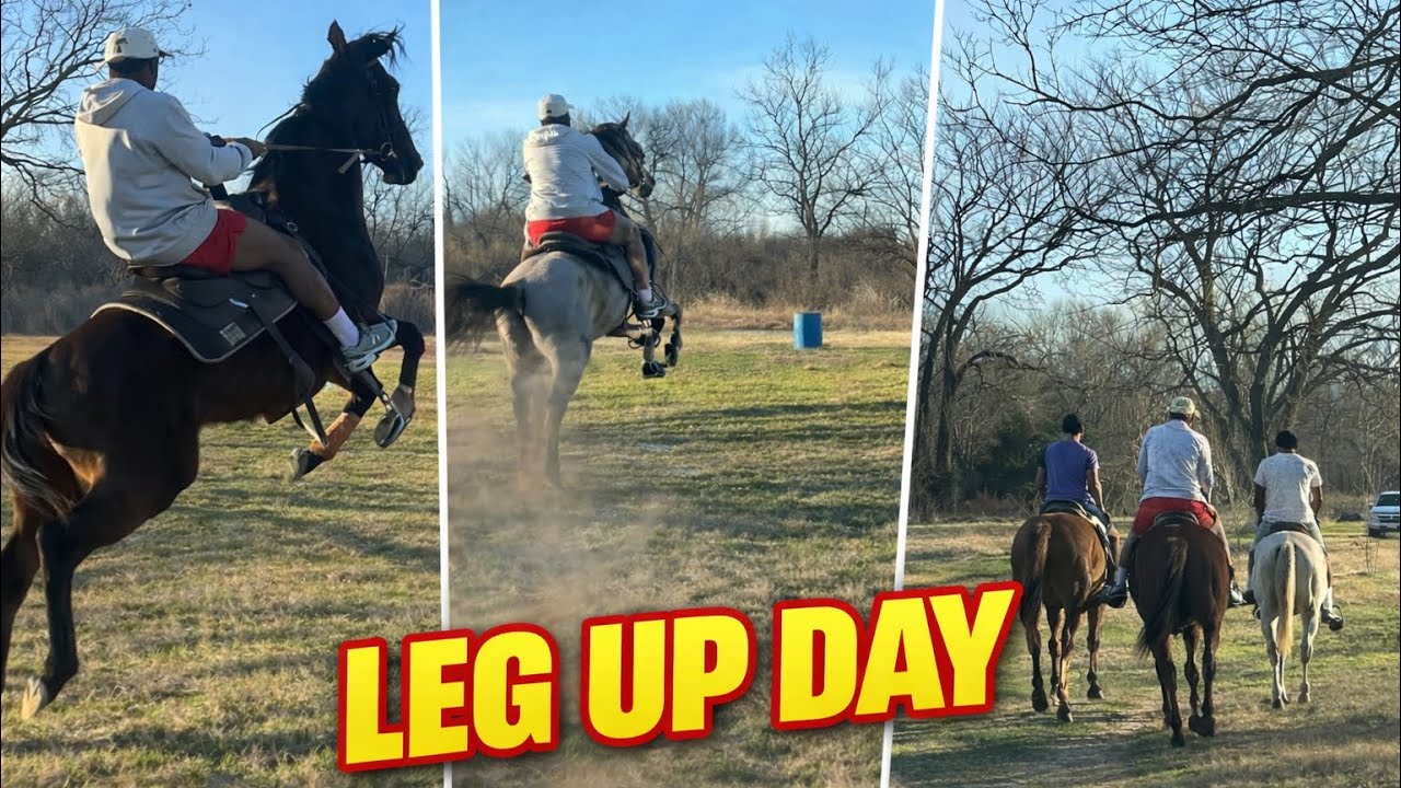 Leg up day 