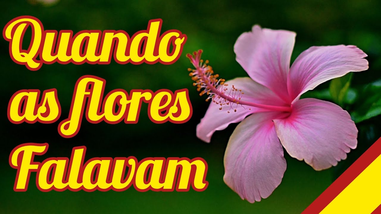 Floriografia// Quando as flores falavam