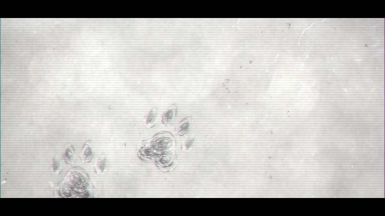 ノマド／須田景凪 バルーン Covered by く～らー【オオカミが歌ってみた】