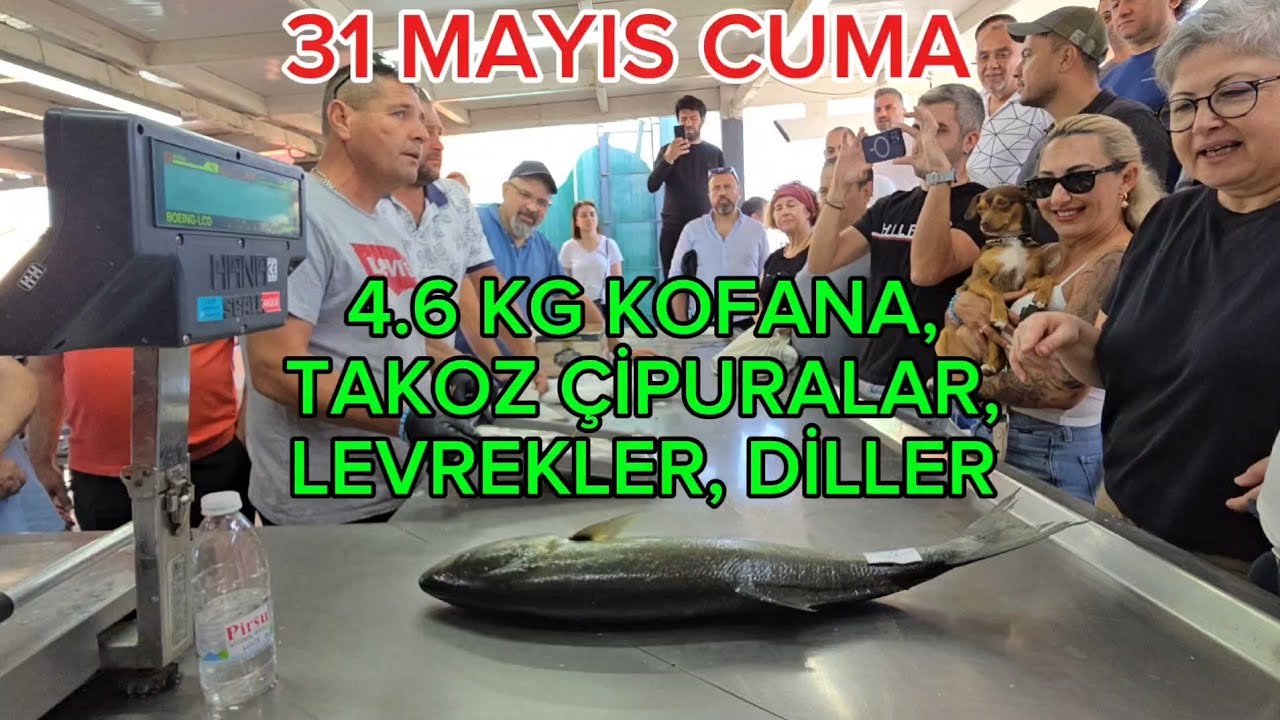 KOFANASI, TAKOZ ÇUPRALARI,, LEVREKLERİ, DİLLERİ İLE HARİKA BİR CUMA MEZATI OLDU MAVİŞEHİRDE.