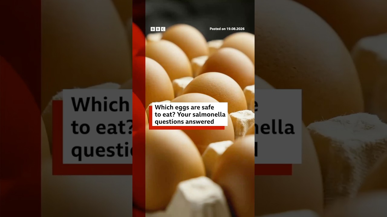 Which eggs are safe to eat? Your salmonella questions answered. #UK #BBCNews