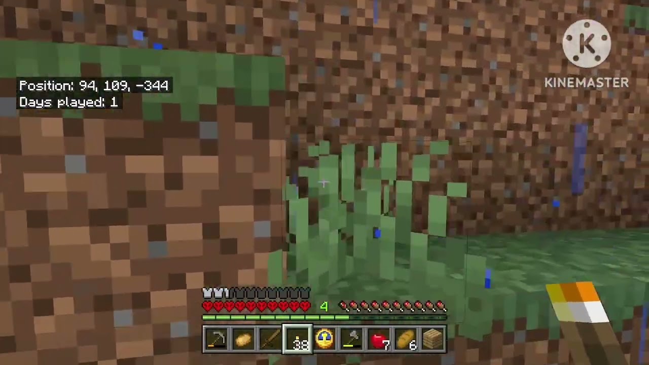 My Hardcore Forever World: Day 2